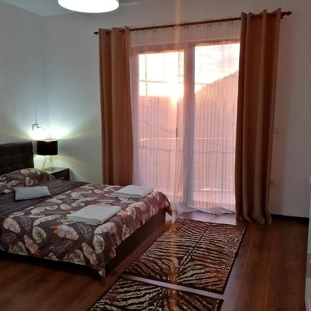Pensiunea Timis Borsa  Bagian luar foto