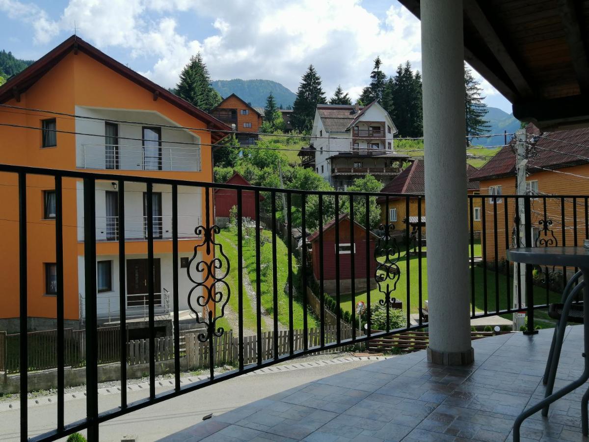Pensiunea Timis Borsa  Bagian luar foto