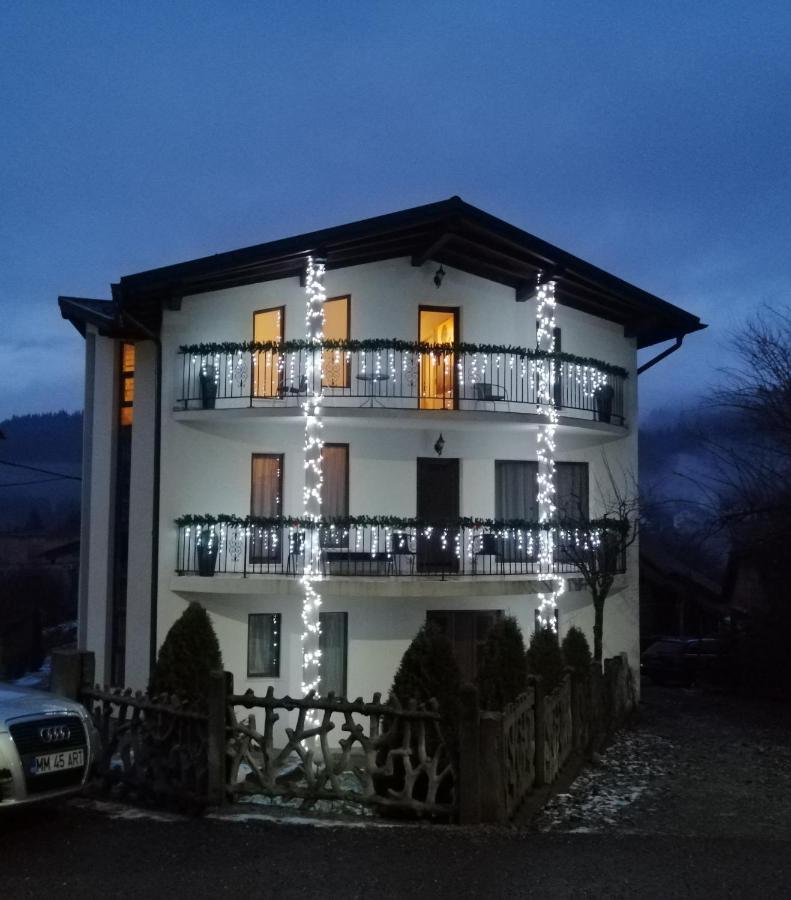 Pensiunea Timis Borsa  Bagian luar foto